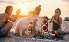 Load image into Gallery viewer, Timo Audio PartyBox T800 Portable PA Speaker with 2 UHF Wireless Mic