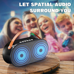 Portable Rechargeable Karaoke Machine-P10